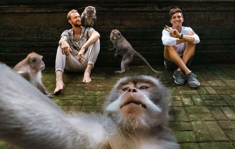 Bali Ultimate Monkey Forest Tour : All Inclusive