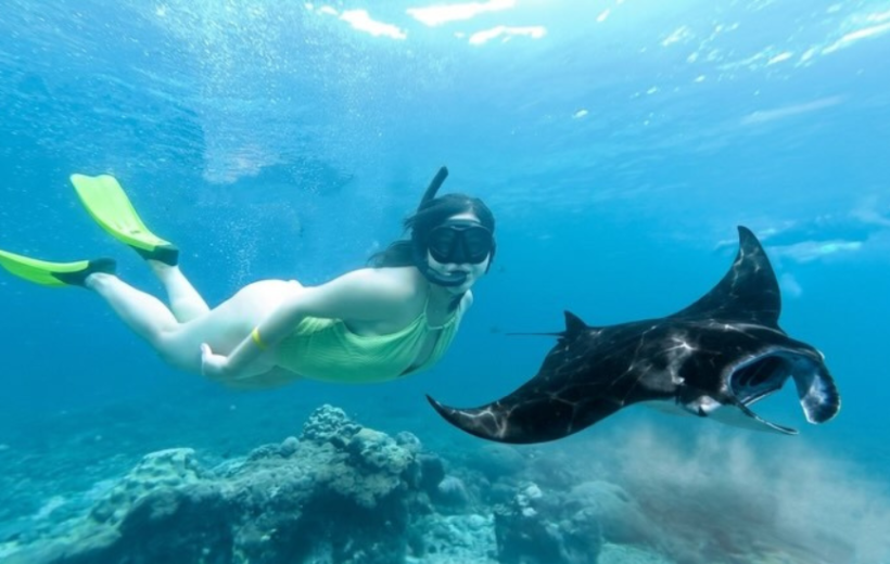 Nusa Penida Snorkeling Tour : All Inclusive