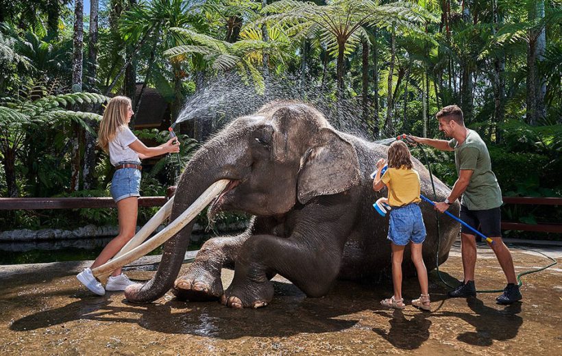 Bali Elephant Bath & Breakfast Day Tour : All Inclusive